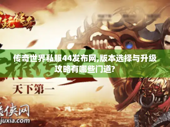 传奇世界私服44发布网,版本选择与升级攻略有哪些门道?