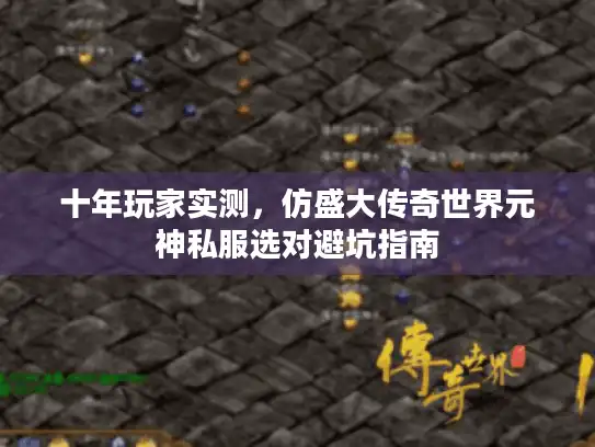 十年玩家实测，仿盛大传奇世界元神私服选对避坑指南