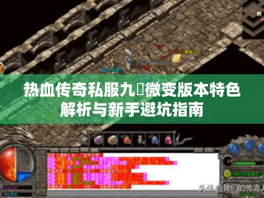 热血传奇私服九龍微变版本特色解析与新手避坑指南 热血传奇私服九龍微变版本特色解析与新手避坑指南