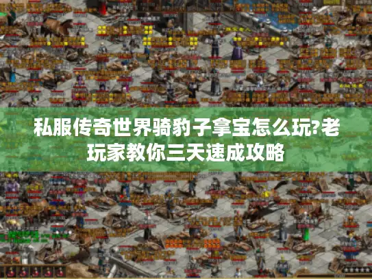 私服传奇世界骑豹子拿宝怎么玩?老玩家教你三天速成攻略 私服传奇世界骑豹子拿宝怎么玩?老玩家教你三天速成攻略