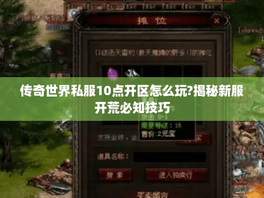 传奇世界私服10点开区怎么玩?揭秘新服开荒必知技巧