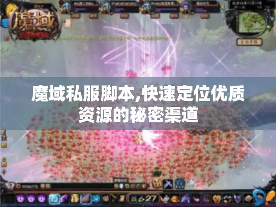 魔域私服脚本,快速定位优质资源的秘密渠道