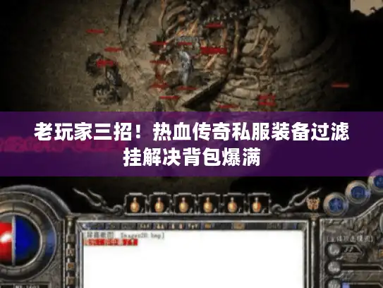 老玩家三招！热血传奇私服装备过滤挂解决背包爆满