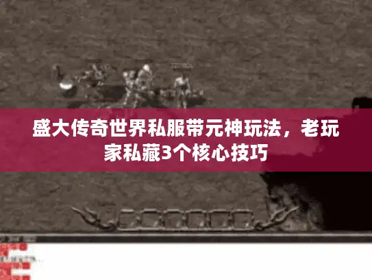 盛大传奇世界私服带元神玩法，老玩家私藏3个核心技巧