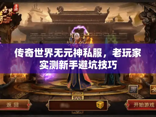 传奇世界无元神私服,老玩家实测新手避坑技巧 传奇世界无元神私服,老玩家实测新手避坑技巧