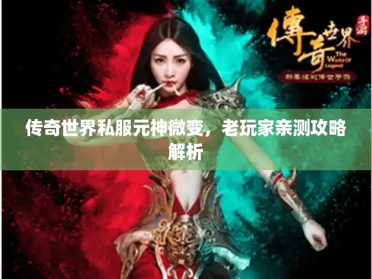 传奇世界私服元神微变，老玩家亲测攻略解析