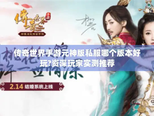 传奇世界手游元神版私服哪个版本好玩?资深玩家实测推荐 传奇世界手游元神版私服哪个版本好玩?资深玩家实测推荐