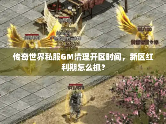 传奇世界私服GM清理开区时间，新区红利期怎么抓？