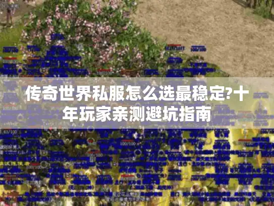 传奇世界私服怎么选最稳定?十年玩家亲测避坑指南