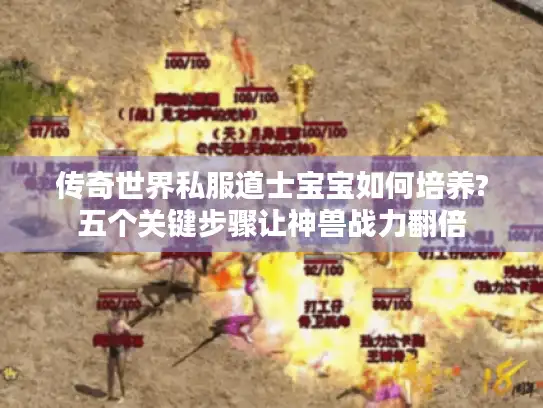 传奇世界私服道士宝宝如何培养?五个关键步骤让神兽战力翻倍 传奇世界私服道士宝宝如何培养?五个关键步骤让神兽战力翻倍