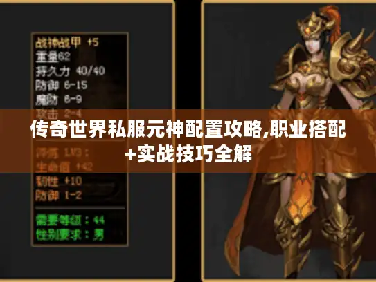 传奇世界私服元神配置攻略,职业搭配+实战技巧全解