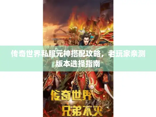 传奇世界私服元神搭配攻略，老玩家亲测版本选择指南