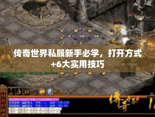 传奇世界私服新手必学，打开方式+6大实用技巧