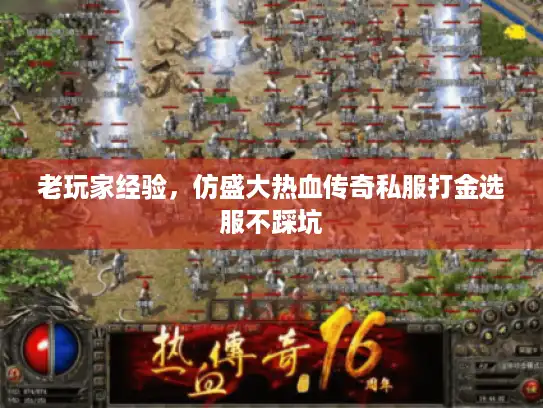 老玩家经验，仿盛大热血传奇私服打金选服不踩坑