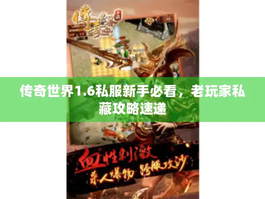 传奇世界1.6私服新手必看，老玩家私藏攻略速递