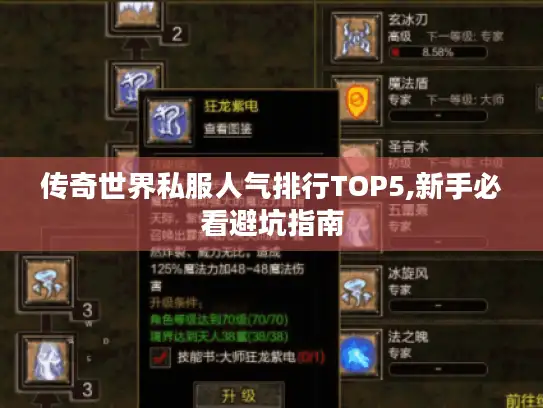 传奇世界私服人气排行TOP5,新手必看避坑指南