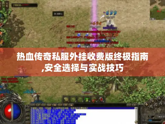 热血传奇私服外挂收费版终极指南,安全选择与实战技巧