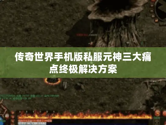 传奇世界手机版私服元神三大痛点终极解决方案 传奇世界手机版私服元神三大痛点终极解决方案