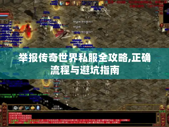 举报传奇世界私服全攻略,正确流程与避坑指南