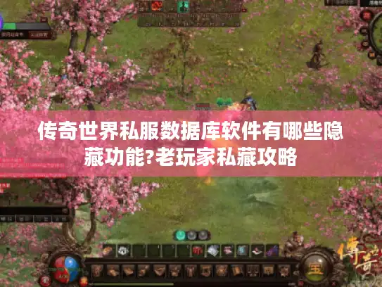 传奇世界私服数据库软件有哪些隐藏功能?老玩家私藏攻略