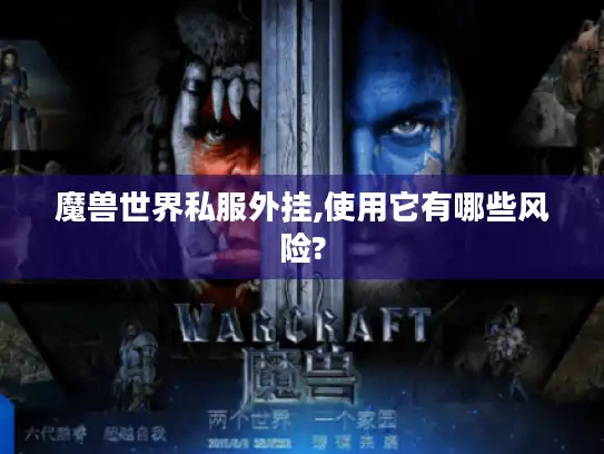 魔兽世界私服外挂,使用它有哪些风险?