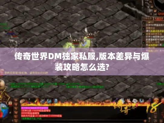 传奇世界DM独家私服,版本差异与爆装攻略怎么选? 传奇世界DM独家私服,版本差异与爆装攻略怎么选?