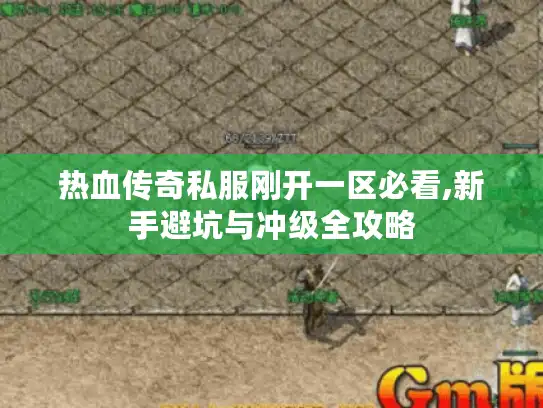 热血传奇私服刚开一区必看,新手避坑与冲级全攻略