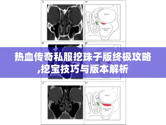 热血传奇私服挖珠子版终极攻略,挖宝技巧与版本解析
