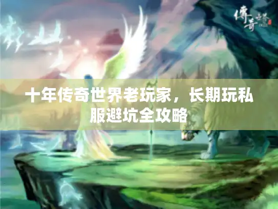 十年传奇世界老玩家，长期玩私服避坑全攻略