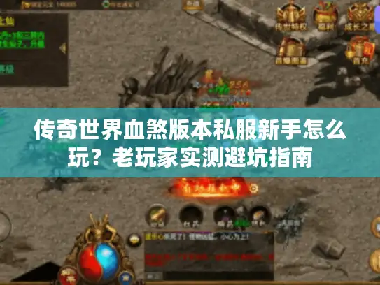 传奇世界血煞版本私服新手怎么玩？老玩家实测避坑指南