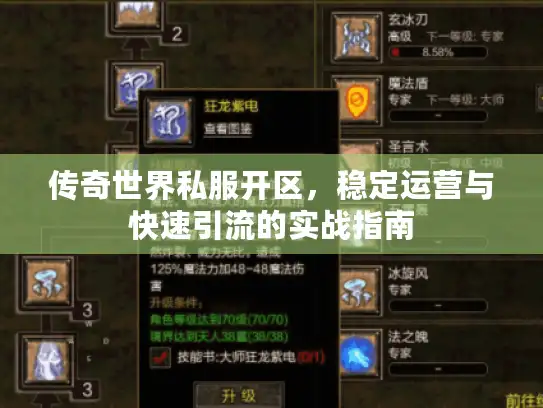 传奇世界私服开区,稳定运营与快速引流的实战指南 传奇世界私服开区,稳定运营与快速引流的实战指南