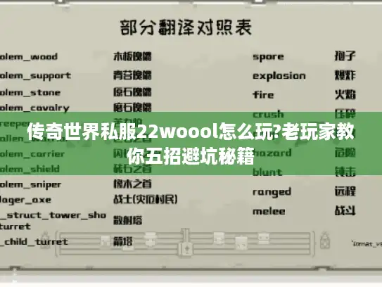传奇世界私服22woool怎么玩?老玩家教你五招避坑秘籍