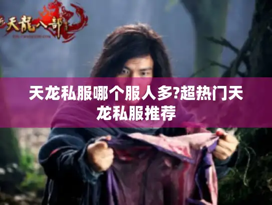 天龙私服哪个服人多?超热门天龙私服推荐