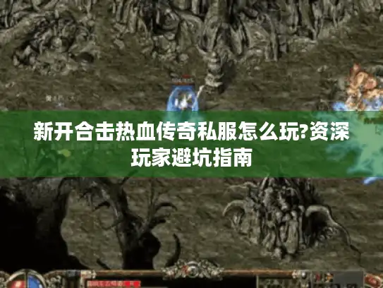 新开合击热血传奇私服怎么玩?资深玩家避坑指南