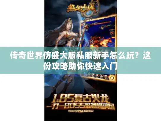 传奇世界仿盛大版私服新手怎么玩？这份攻略助你快速入门