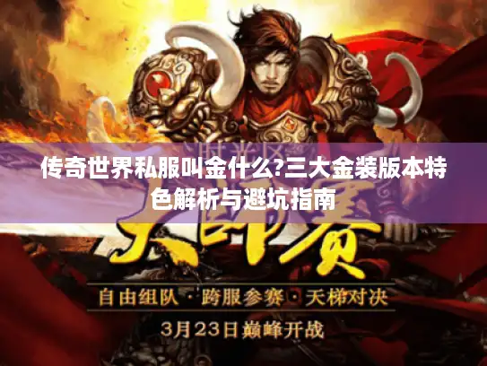 传奇世界私服叫金什么?三大金装版本特色解析与避坑指南