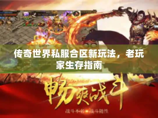 传奇世界私服合区新玩法，老玩家生存指南