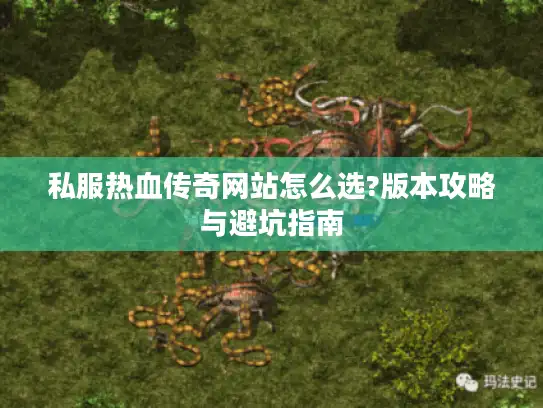 私服热血传奇网站怎么选?版本攻略与避坑指南