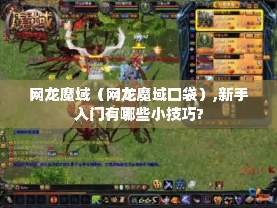 网龙魔域（网龙魔域口袋）,新手入门有哪些小技巧?