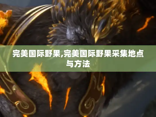 完美国际野果,完美国际野果采集地点与方法