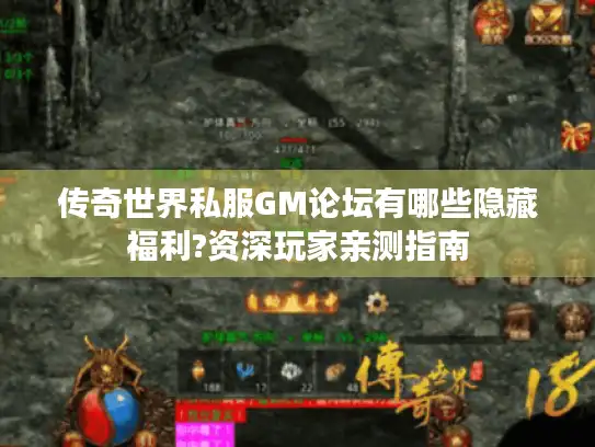 传奇世界私服GM论坛有哪些隐藏福利?资深玩家亲测指南