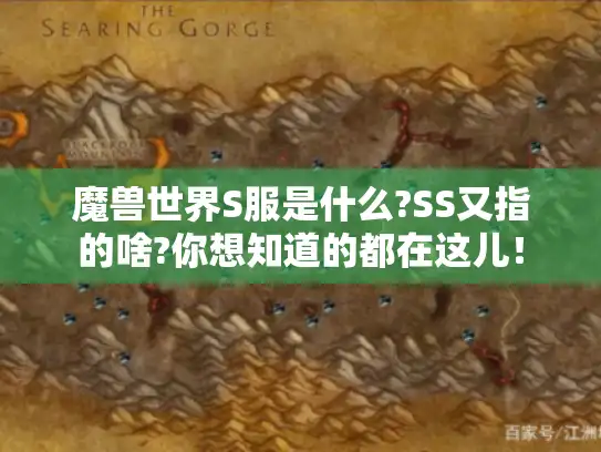 魔兽世界S服是什么?SS又指的啥?你想知道的都在这儿！