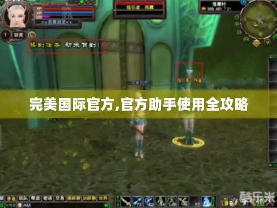 完美国际官方,官方助手使用全攻略