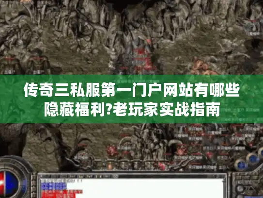 传奇三私服第一门户网站有哪些隐藏福利?老玩家实战指南