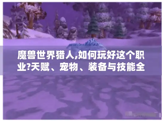 魔兽世界猎人,如何玩好这个职业?天赋、宠物、装备与技能全攻略
