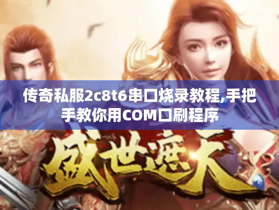 传奇私服2c8t6串口烧录教程,手把手教你用COM口刷程序