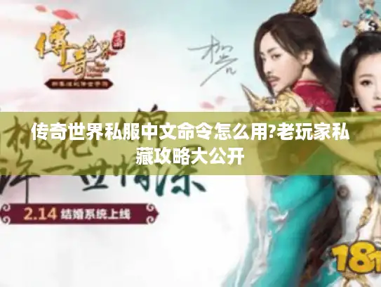 传奇世界私服中文命令怎么用?老玩家私藏攻略大公开