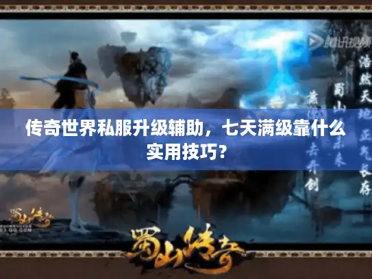传奇世界私服升级辅助，七天满级靠什么实用技巧？
