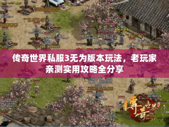 传奇世界私服3无为版本玩法，老玩家亲测实用攻略全分享