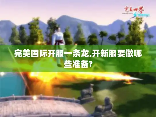 完美国际开服一条龙,开新服要做哪些准备?